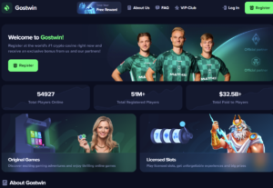 Gostwin.com Review 2026: Is Gostwin.com Legit or a Safe Betting Platform?